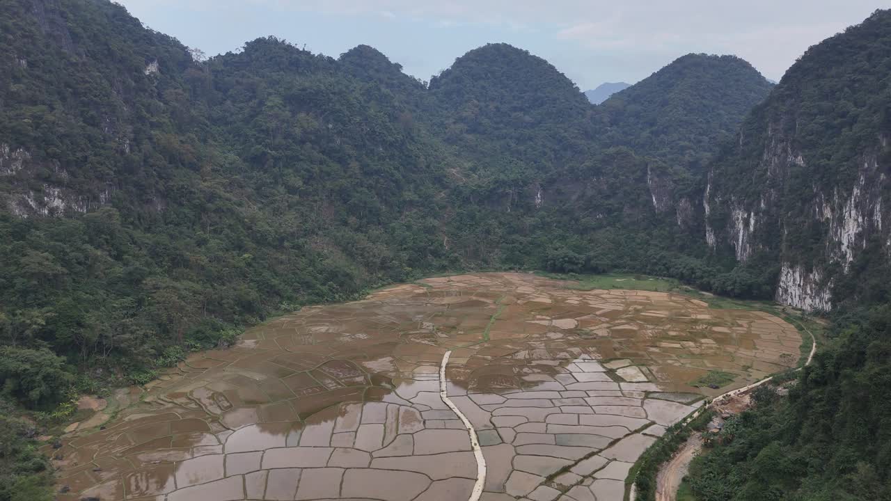 Aerial drone footage of scenic terraced rice fields surrounded by dense green forest and tall limestone mountains under soft cloudy sky in remote Faro region of Portugal during daytime