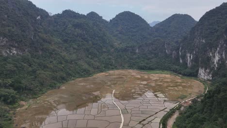 aerial drone footage of scenic terraced rice fields surrounded by dense green forest and tall limestone mountains under soft cloudy sky in remote faro region of portugal during daytime