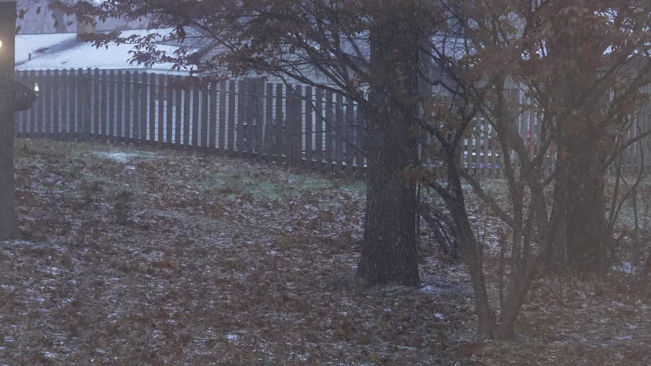 슈퍼 슬로우 모션 눈 내리기, rk 착색 및 낮은 채도