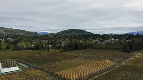 Feuchtes-Braunes-Bauernfeld-Am-Fuße-Des-Berges-Mit-Bewölktem-Himmel-Darüber