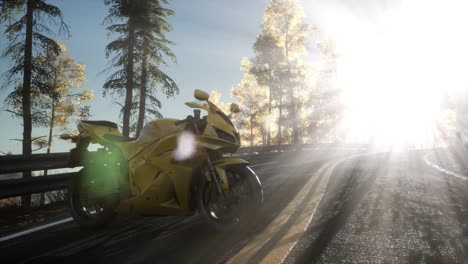 sportbike on tre road in forest with sun beams