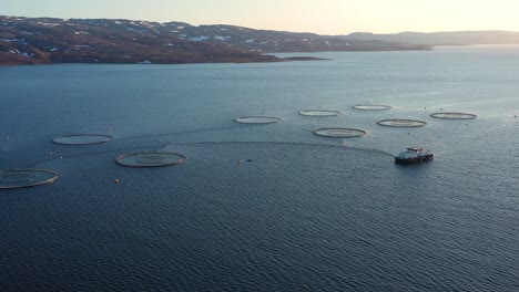 aerial footage farm salmon fishing in norway