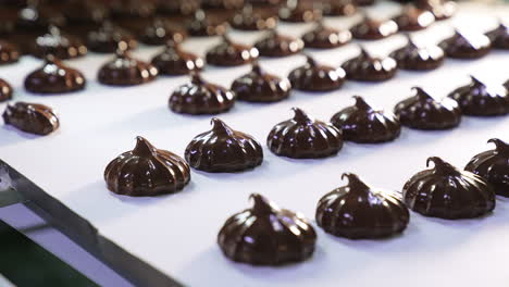 shiny marshmallow desserts on the conveyor line. freshly-made sweets at the confectionary industry. close up.
