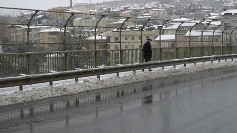 snowy city bridge scene