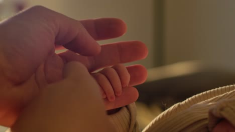 parents holding little baby's hand - intimate moment with newborn cu