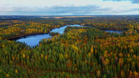 a lake in the middle of an endless wilderness forest in southern finland