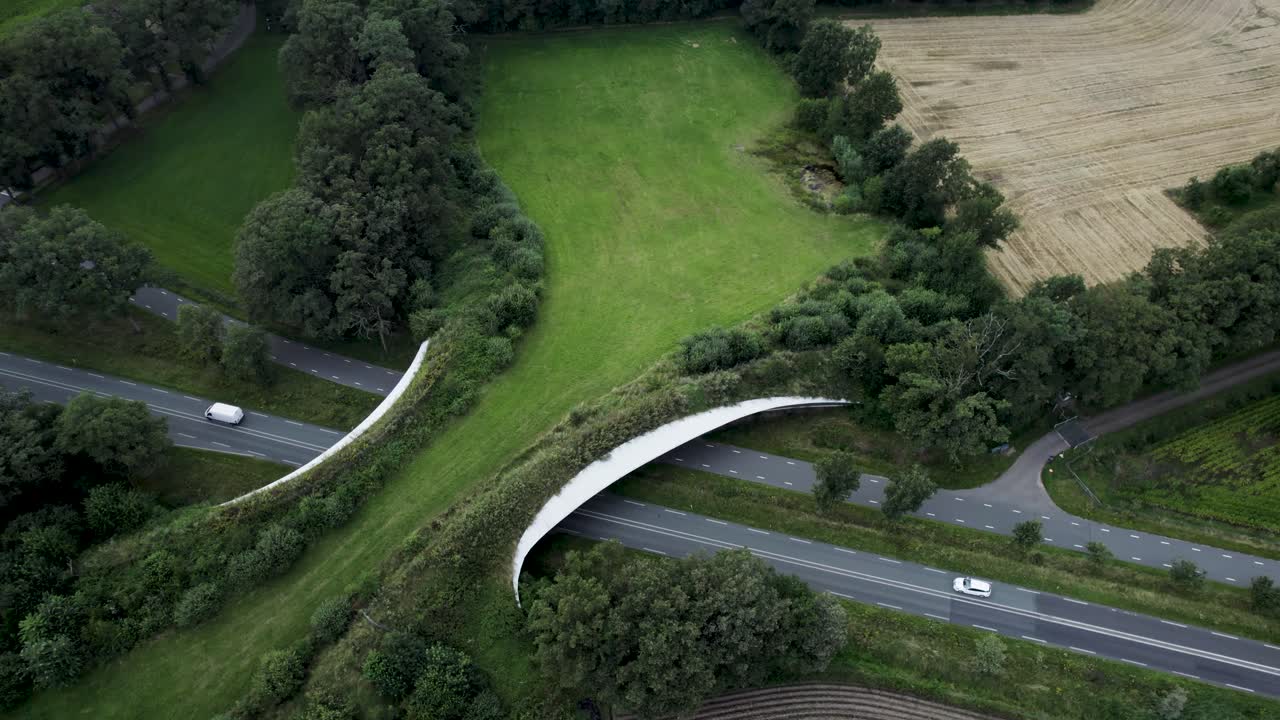 동물이 보존 지역 사이를 이동할 수 있도록 안전한 자연 회랑 다리를 형성하는 야생 동물 횡단 도로를 보여주는 고정된 조감도