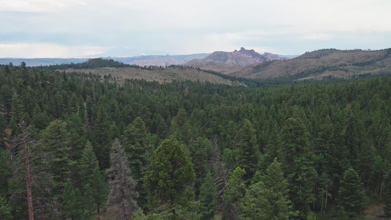A slow drone flight over a remote mountain forest near sunset with wilderness area and rocky cliffs in the distance. Filmed in the Pike National Forest of Colorado