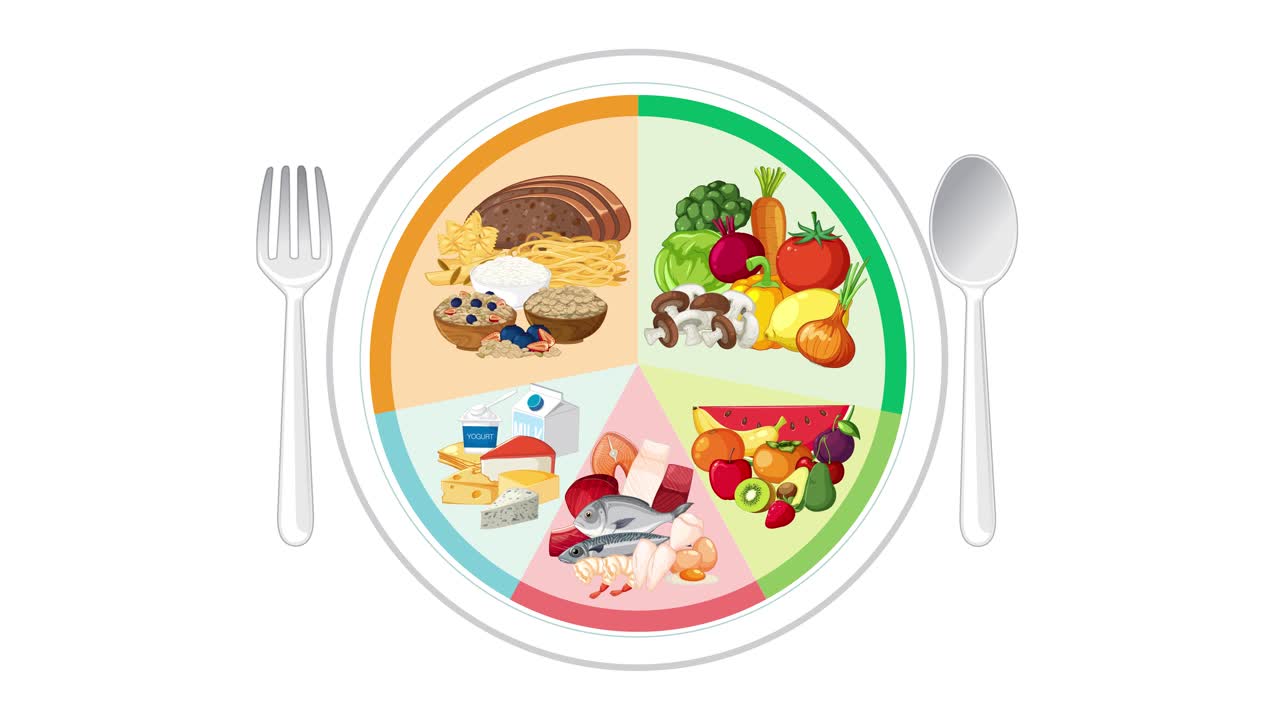 Colorful animation builds a balanced meal plate with food groups, utensils, and clear section divisions