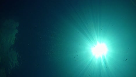 sun shot from bottom of a lake with clear and transparent blue water