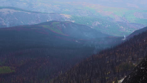 Eine-Breite-Aufnahme-Der-Wildnis-In-Britisch-Kolumbien-Im-Winter