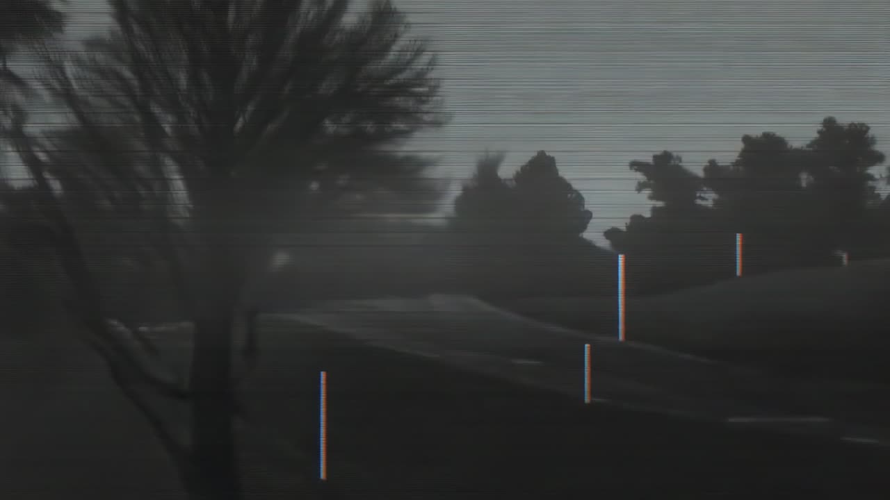 Interference causing scan-line glitch flickering in open field, with tree silhouette, copy space