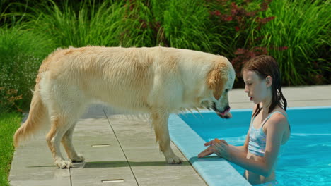 chica y golden retriever en la piscina