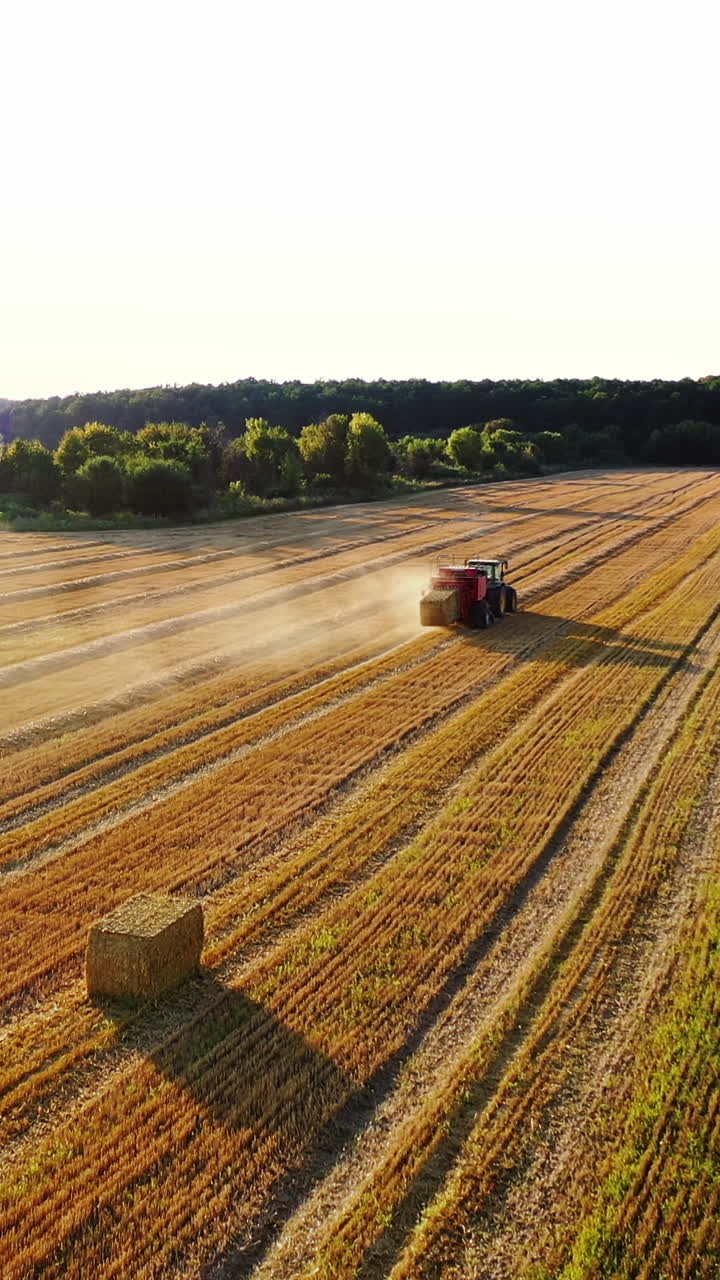 Tractor baling dry grass on the field. Square bales are coming from tractor after collecting hay. Seasonal works on the natural landscape in summer. Aerial view. Vertical video