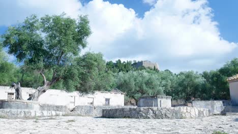 abandoned greek ruins with olive trees