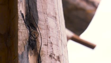 Close-up of Wooden Beam