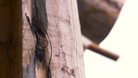 close-up of wooden beam