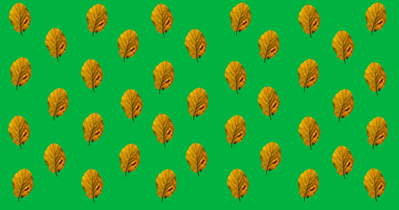 Digital animation of multiple yellow autumn leaves in seamless pattern against black background