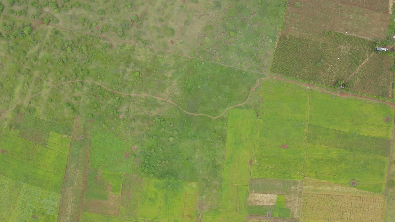 patrón abstracto de campos cultivados en loitokitok, kenia, antena de arriba hacia abajo
