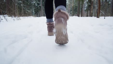 woman walking through snowy forest