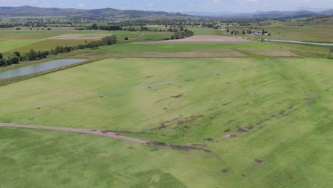 amplios campos verdes en el desierto de beaudesert, australia