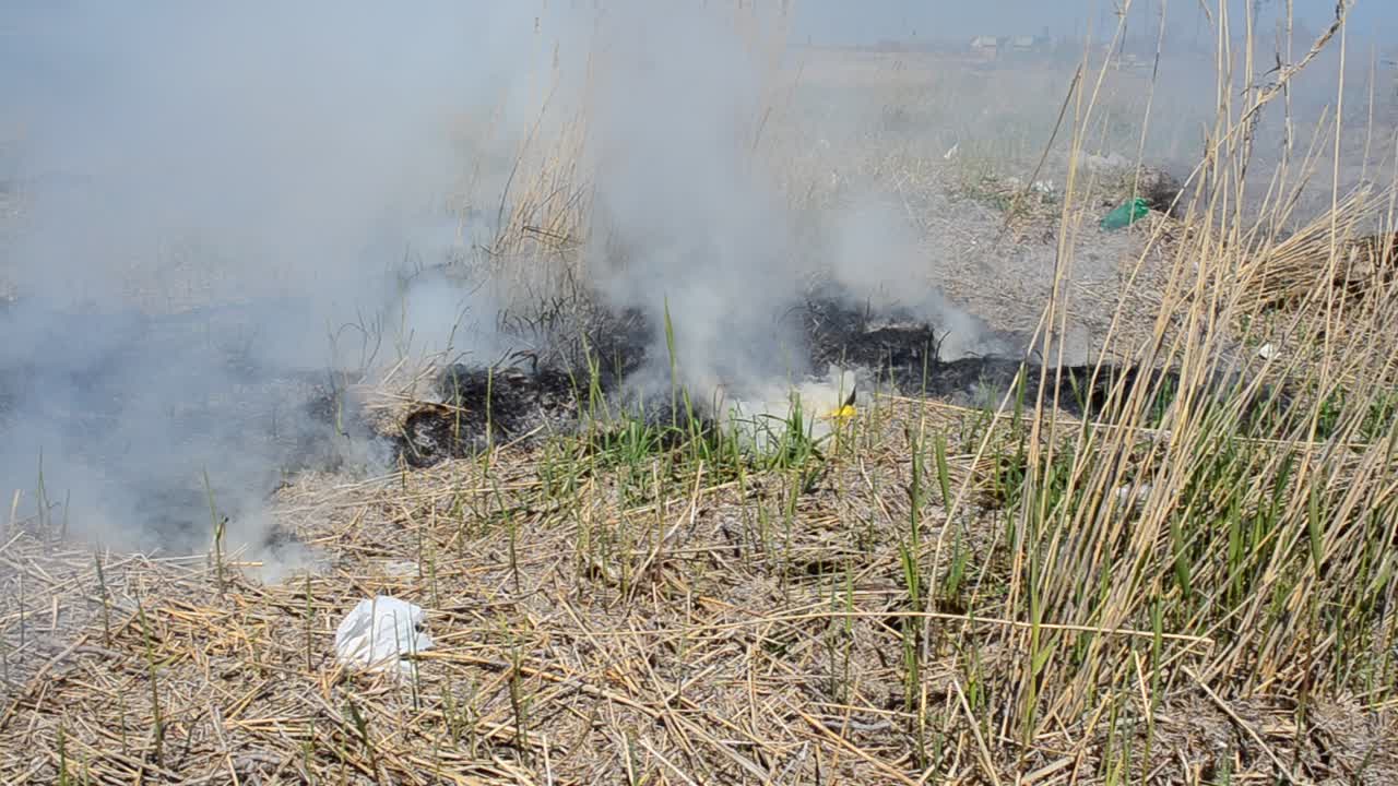 Environmental disaster. Fields and fire, accident