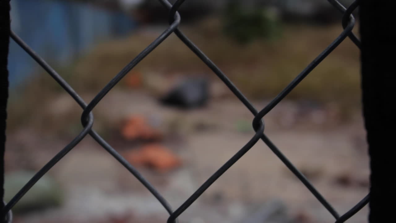 View through a Wire Fence