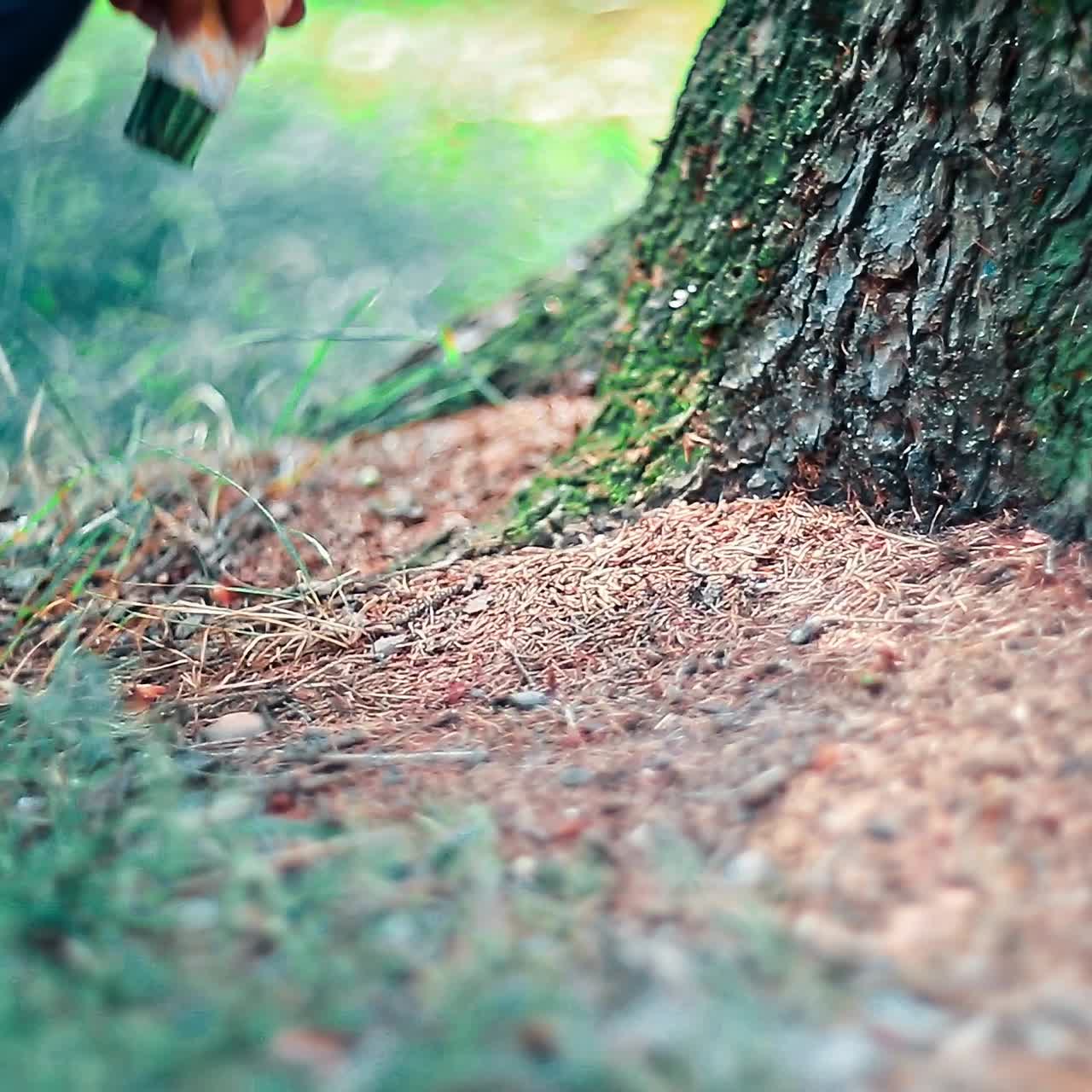 美しい結婚式の花束