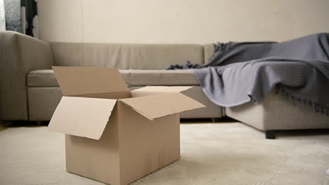 unrecognizable woman trying to put her cat into a cardboard box but cat running away