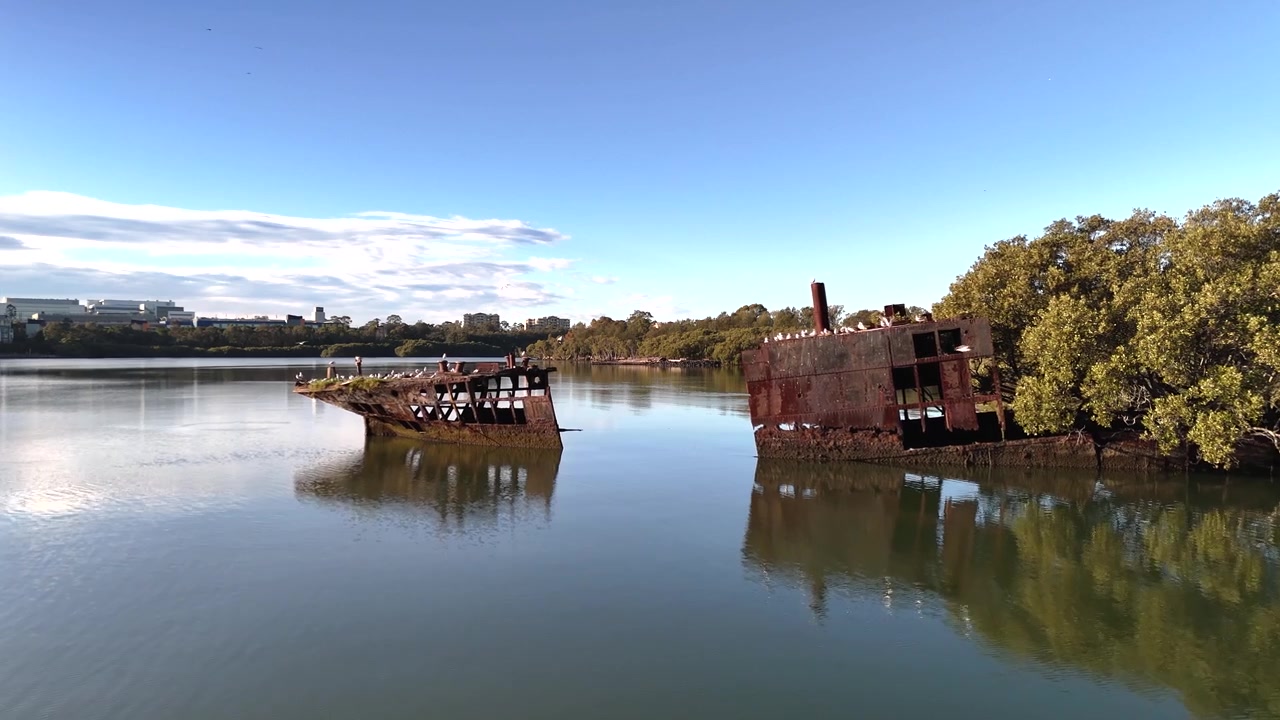 Scheepswrak met bos dat uit de roestige romp groeit op een zonnige dag, vanuit laag luchtperspectief. Het wrak bevindt zich in Homebush Bay, Parramatta rivier, Sydney Australië. Camera beweegt naar het gebroken schip.