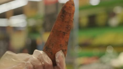 fresh organic vegetables at the farmers market. raw vegetables