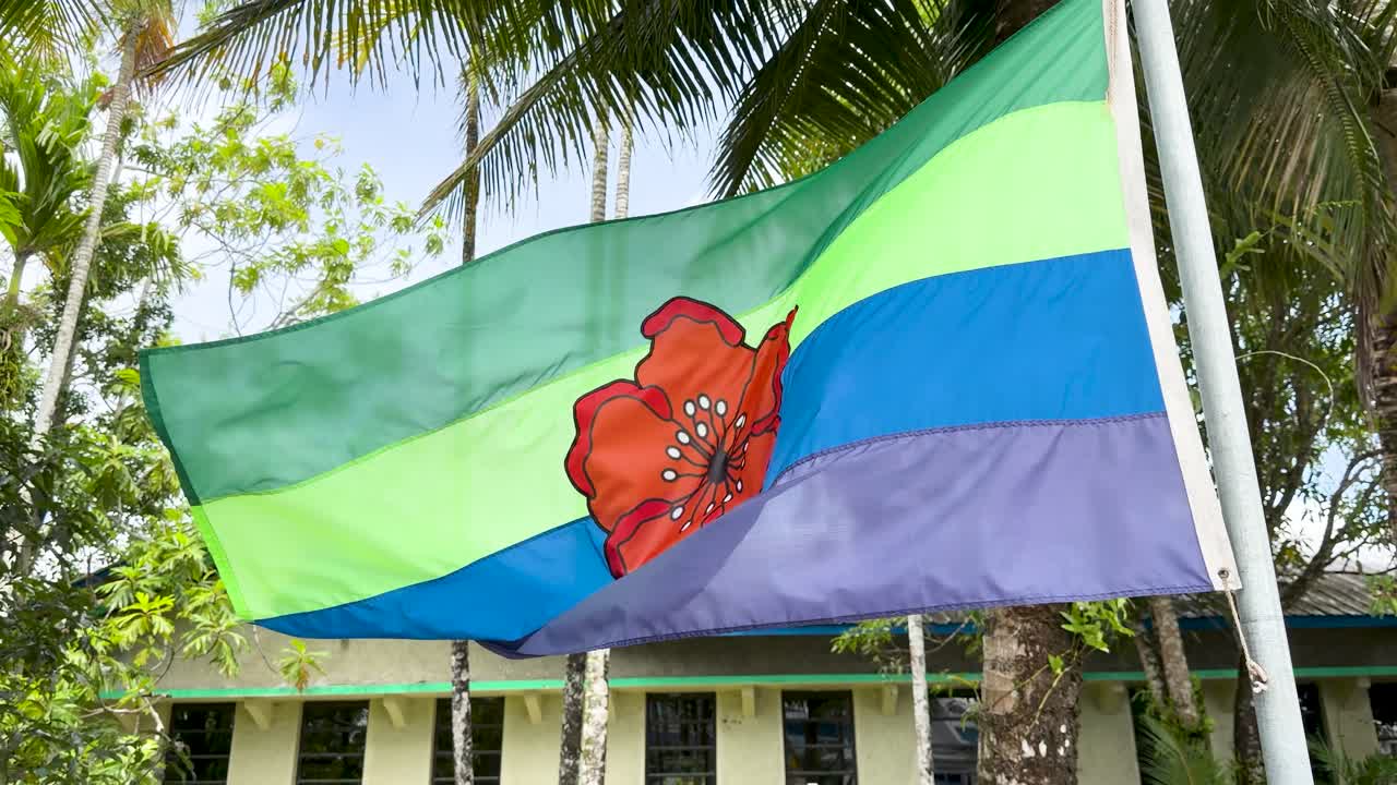 Una bandiera statale colorata sventola tra palme e un edificio governativo a Palau