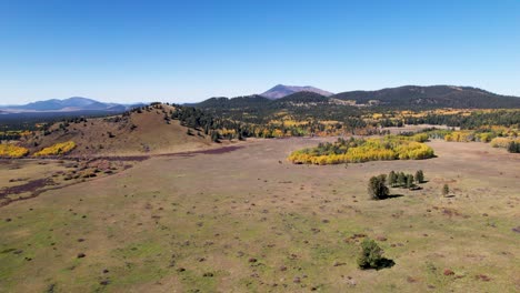 Volando-Sobre-Una-Gran-Pradera-En-Otoño