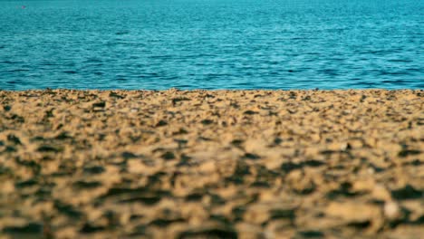 la arena limpia en la playa rodeada de un océano azul profundo bajo un día soleado y brillante - toma amplia