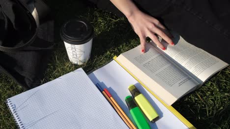 girl workspace on grass