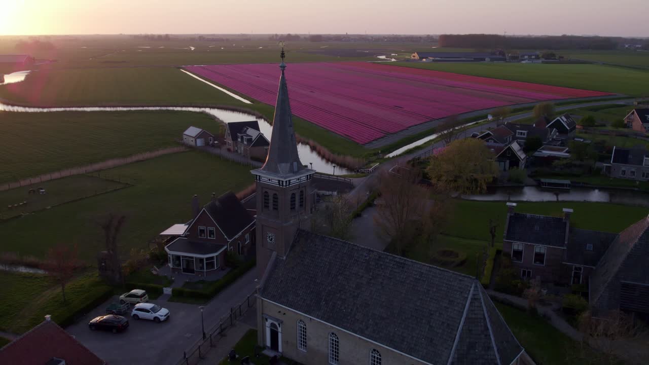 Campi di tulipani visti dall'alto e tramonto a Schettens, Frisia, Paesi Bassi