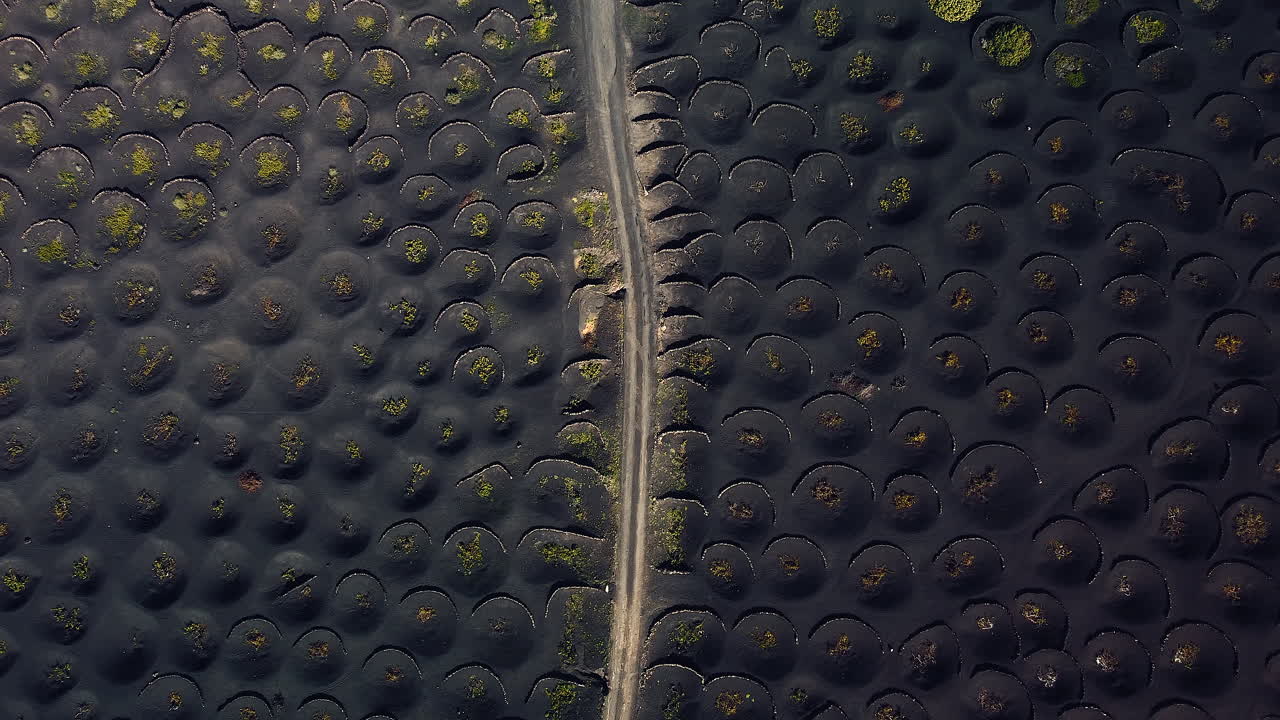 hermosa toma de avión no tripulado volando sobre viñedos volcánicos en lanzarote españa