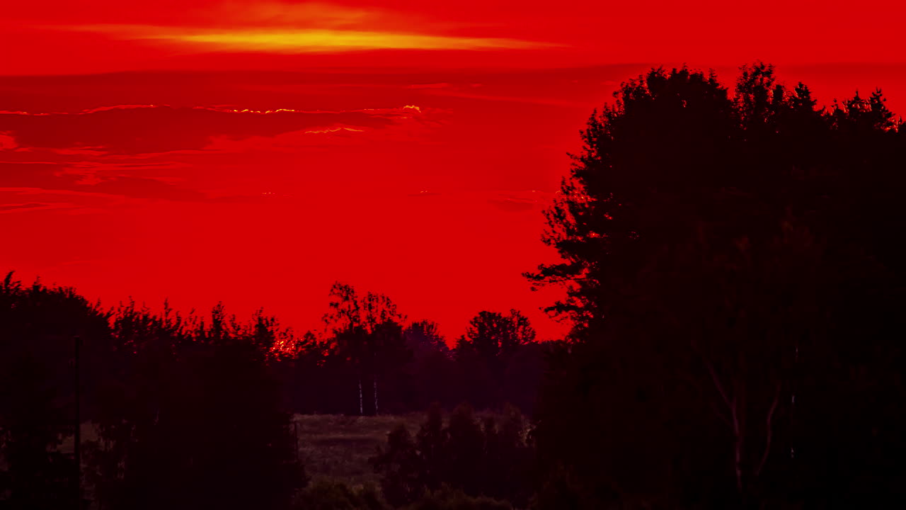 이른 아침 시간 경과에 울창한 나무 숲 뒤에서 붉은 하늘 위로 떠오르는 태양의 전망