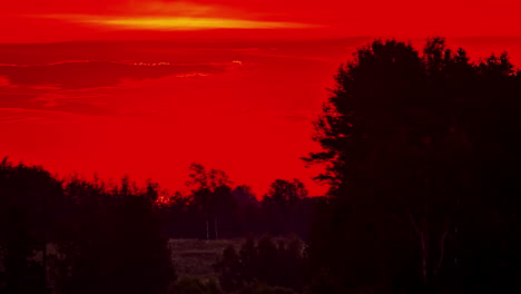 Blick-Auf-Die-Aufgehende-Sonne-über-Dem-Roten-Himmel-Hinter-Dichtem-Baumwald-Im-Zeitraffer-Am-Frühen-Morgen