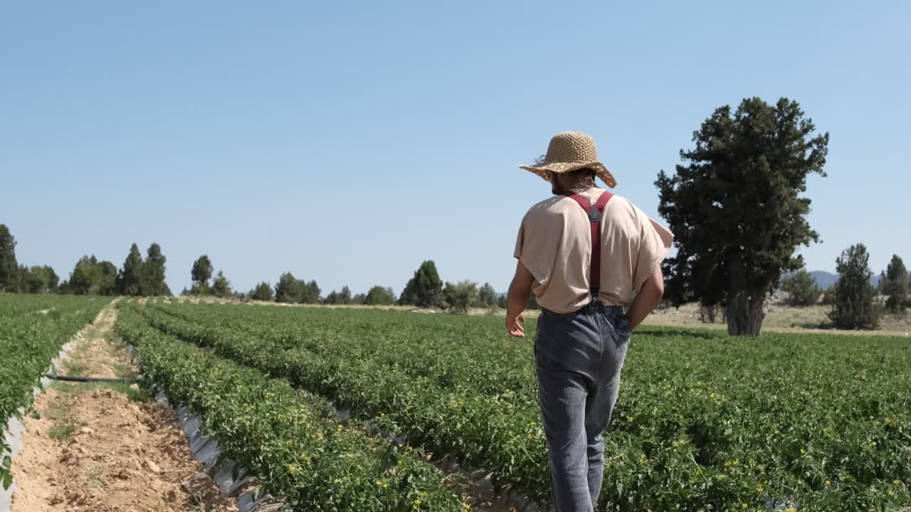 hombre paseando por el campo