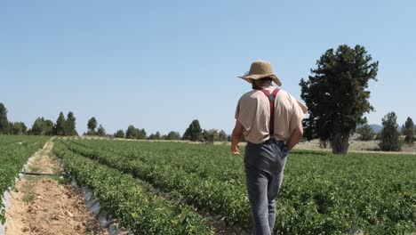 man strolling field