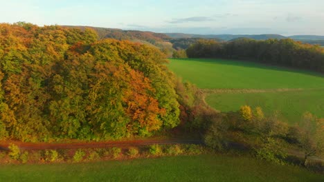 Drohnenflug-über-Wunderschönen-Herbstfarbenen-Wald-Und-Herbstlandschaft