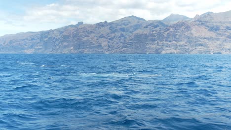 Magnificent-scene-of-Bryde's-whales-swimming-to-the-water-surface-to-exhale