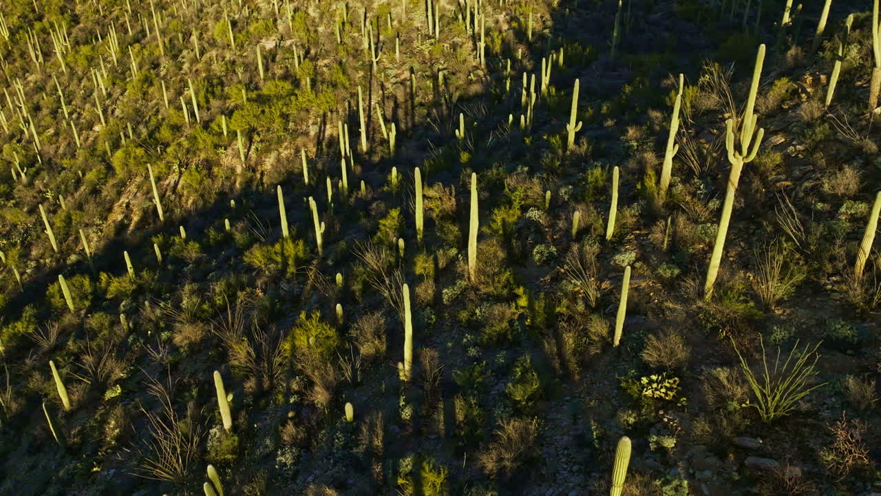 imágenes dramáticas de drones del paisaje desértico