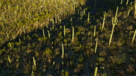 Dramatic-drone-footage-of-desert-landscape