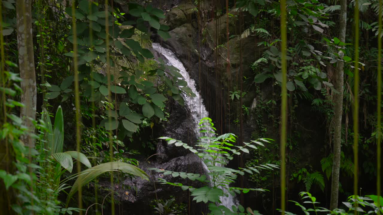 Waterfall jungle nature at Goa Gajah temple in Ubud Bali Indonesia tropical landscape