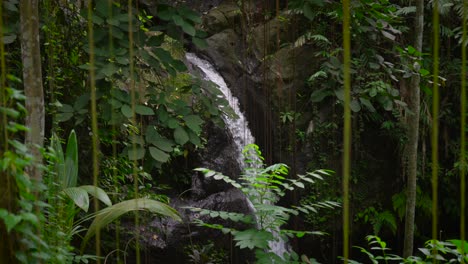 waterfall jungle nature at goa gajah temple in ubud bali indonesia tropical landscape
