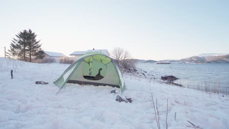 Pequeña-Carpa-Instalada-En-Una-Playa-Nevada-En-Indre-Fosen,-Noruega---Plano-Medio