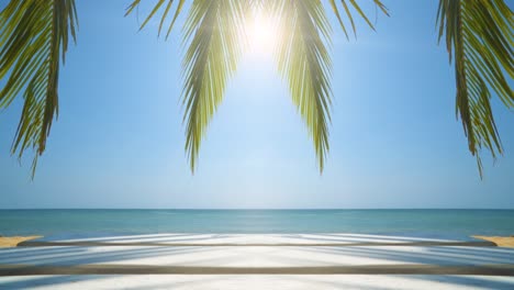 exotic beach and palm tree on sea coast at sunny day with blue sky.