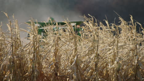 combine harvester, sunny day, slow motion